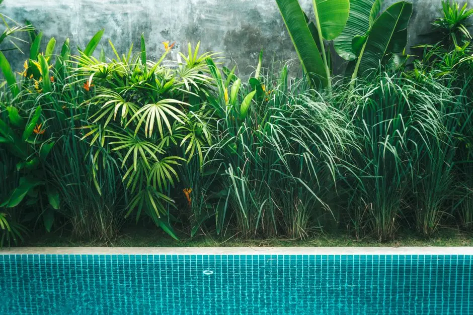 Greens & Outdoors at PURAVANKARA CUFFE PARADE, Mumbai