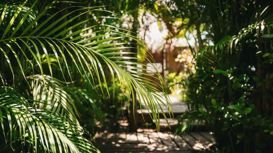 Greens & Outdoors at PURAVANKARA DOMBIVLI, Sonar Pada, Mumbai