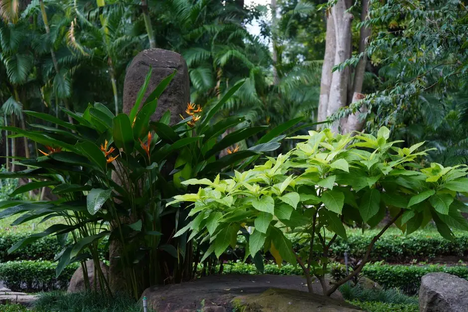 Greens & Outdoors at PURAVANKARA MIAMI BY PURVA, Breach Candy, Mumbai
