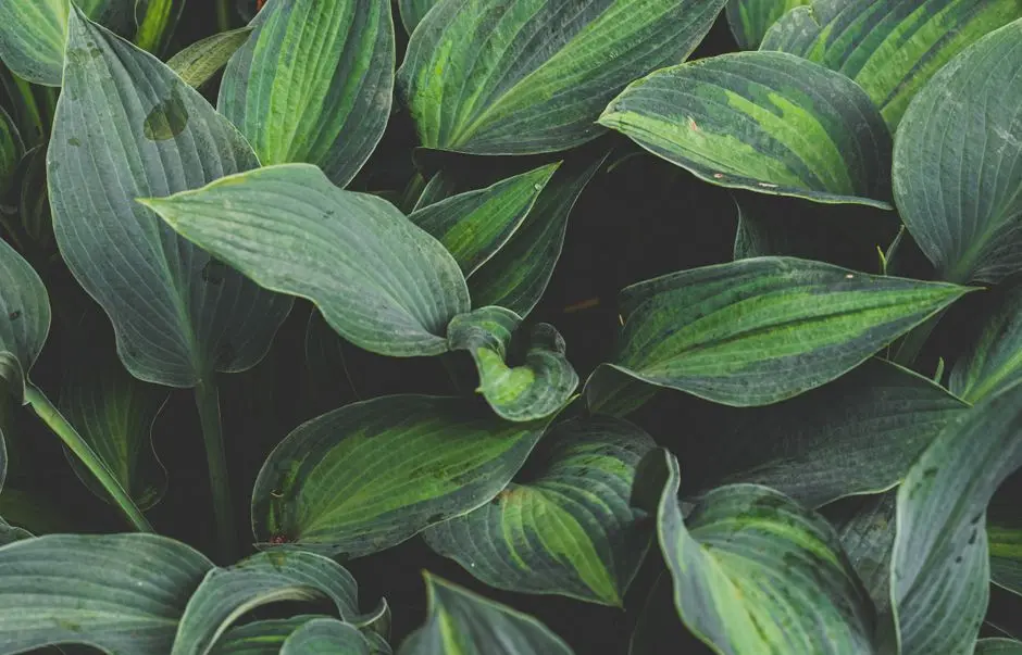 Greens & Outdoors at PURAVANKARA CODENAME TECH-LIVING, EPIP Zone, Whitefield, Bangalore