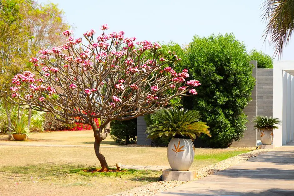Greens & Outdoors at PURAVANKARA PROVIDENT AMETHI, Selvapuram, Coimbatore