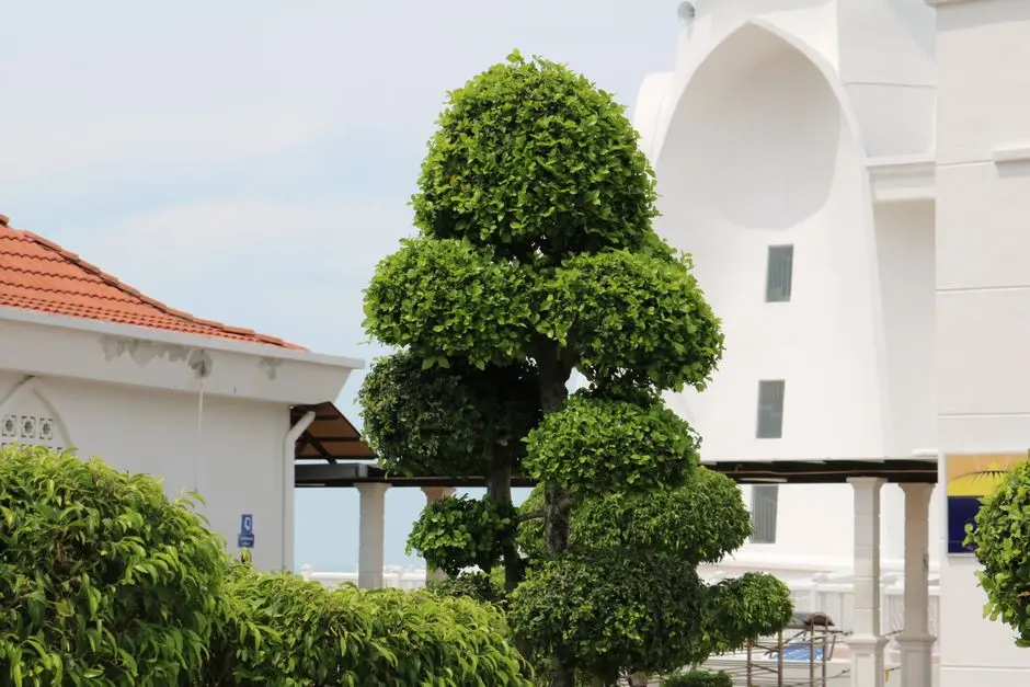 Greens & Outdoors at PURAVANKARA GUNJUR RISE, Bangalore