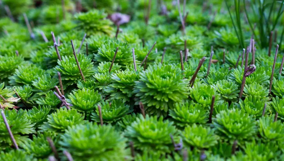 Greens & Outdoors at PURAVANKARA PANATHUR, Bangalore
