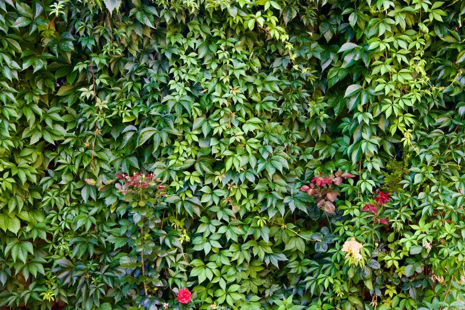 Greens & Outdoors at PURAVANKARA PLOTS ELECTRONIC CITY, Bangalore