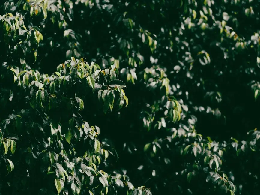 Greens & Outdoors at PURAVANKARA PURVA ARBOR, Nellukunte, Bangalore