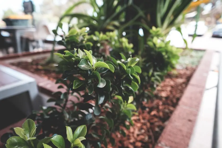 Greens & Outdoors at PURAVANKARA KAGGALIPURA SARJAPUR ROAD, Bangalore