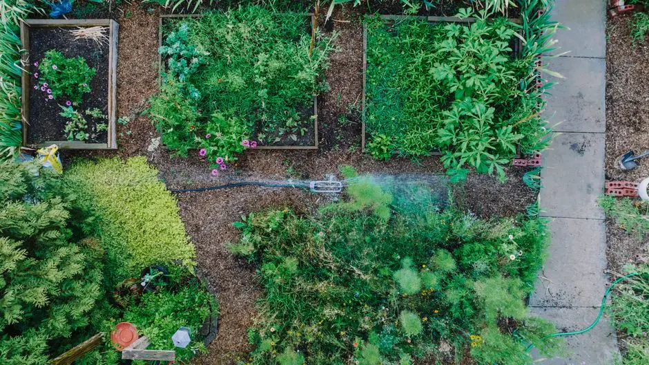 Greens & Outdoors at PURAVANKARA PURVA BETWEEN THE PARK, Sudhama Nagar, Bangalore