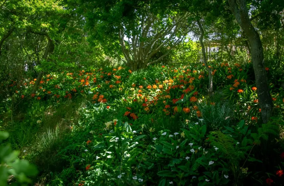 Greens & Outdoors at PURAVANKARA CODENAME PARK, Hennur, Bangalore