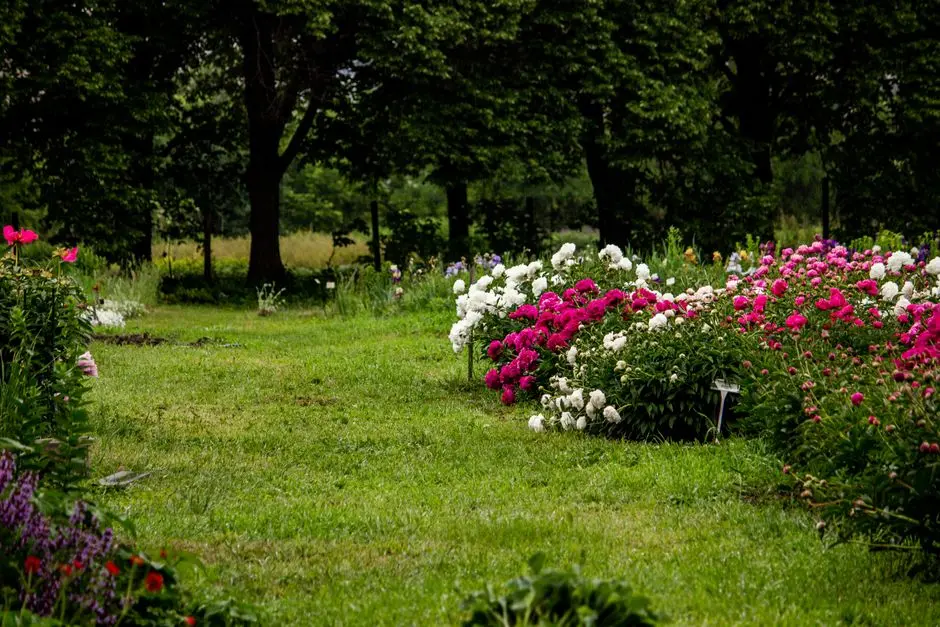 Greens & Outdoors at PURAVANKARA PURVA GRAND HILLS, Chikkajala, Bangalore