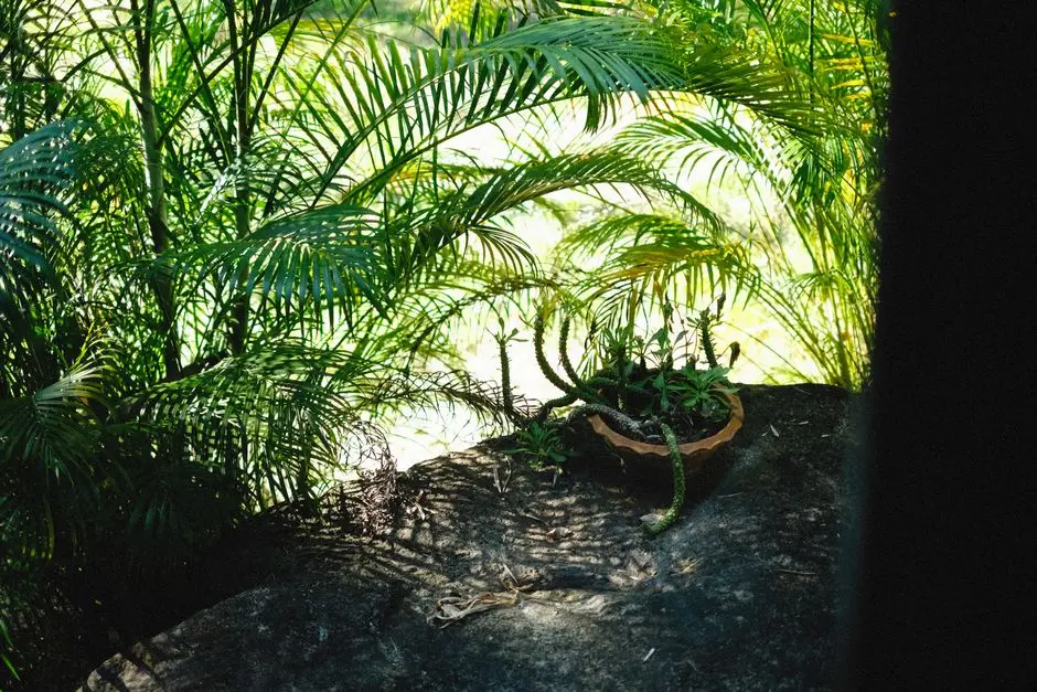 Greens & Outdoors at PURAVANKARA PURVA CLERMONT, Chembur, Mumbai