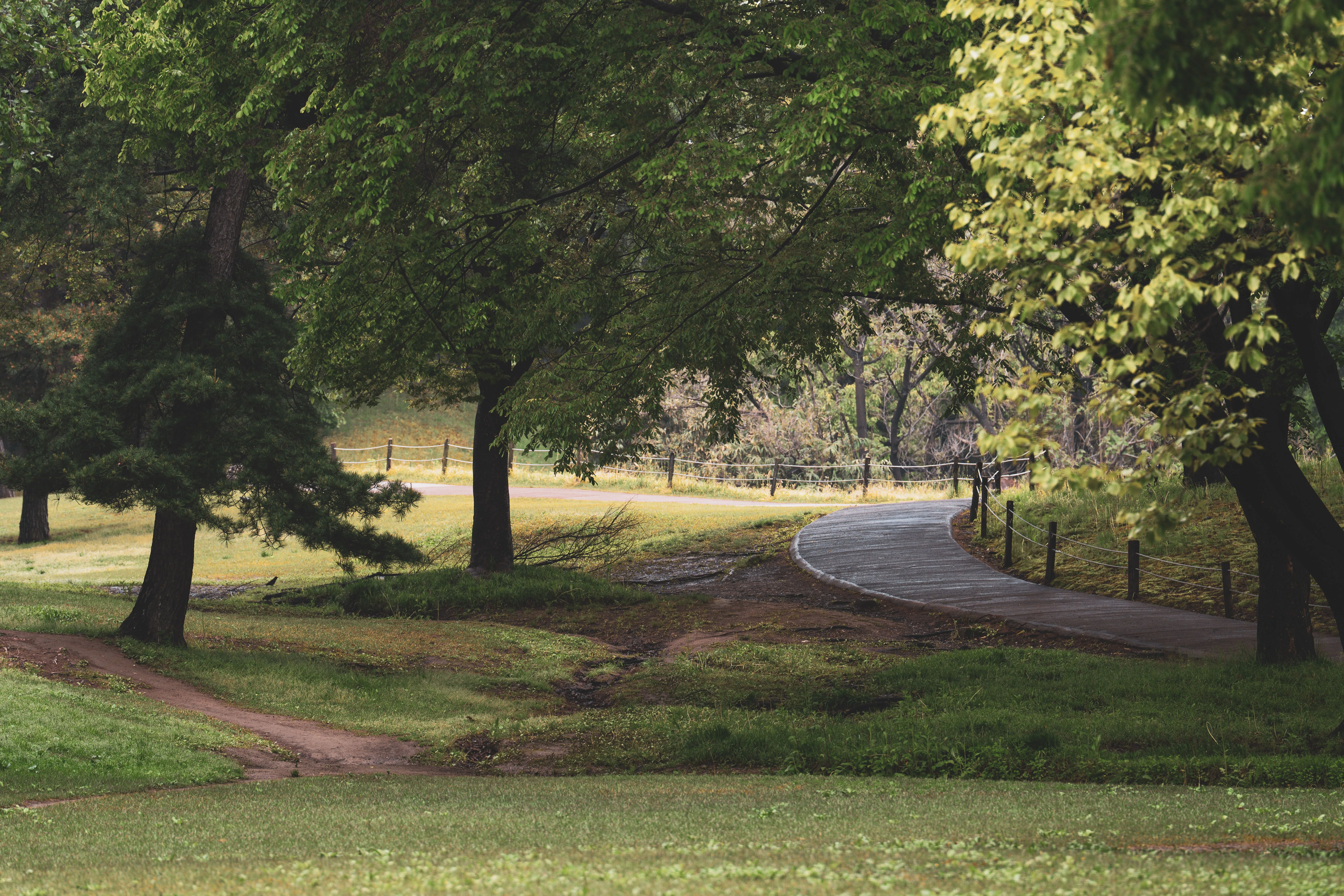Greens & Outdoors at PURAVANKARA PURVA NORTHERN LIGHTS, KIADB Aerospace Park, Bangalore