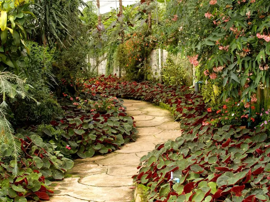 Greens & Outdoors at PURAVANKARA MALABAR HILL, Mumbai