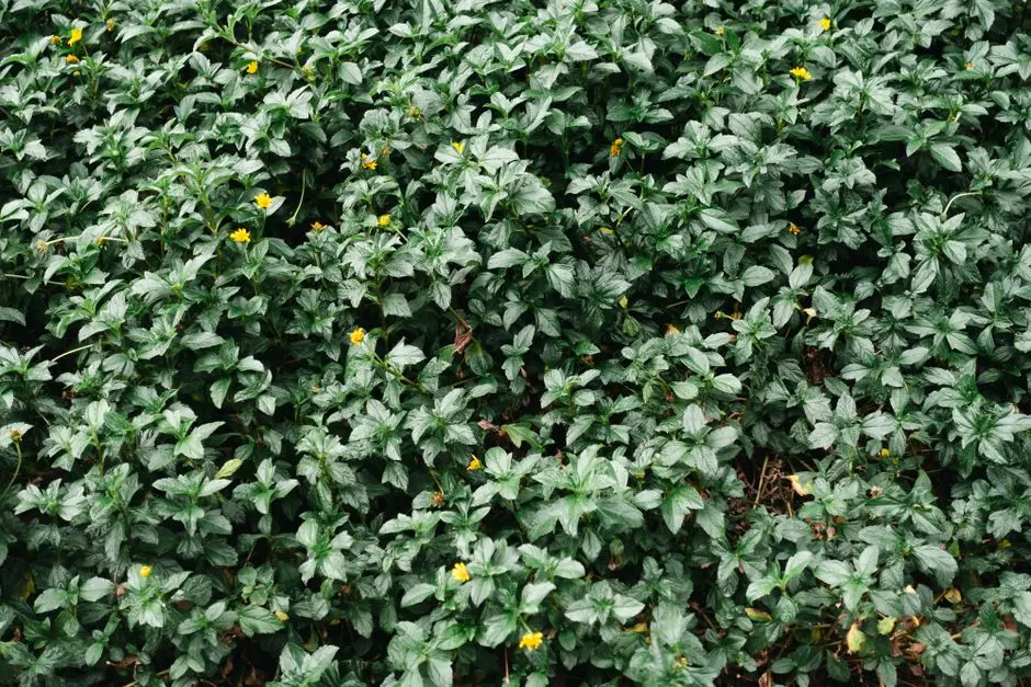Greens & Outdoors at PURAVANKARA PURVA CHIKKAJALA, Bangalore