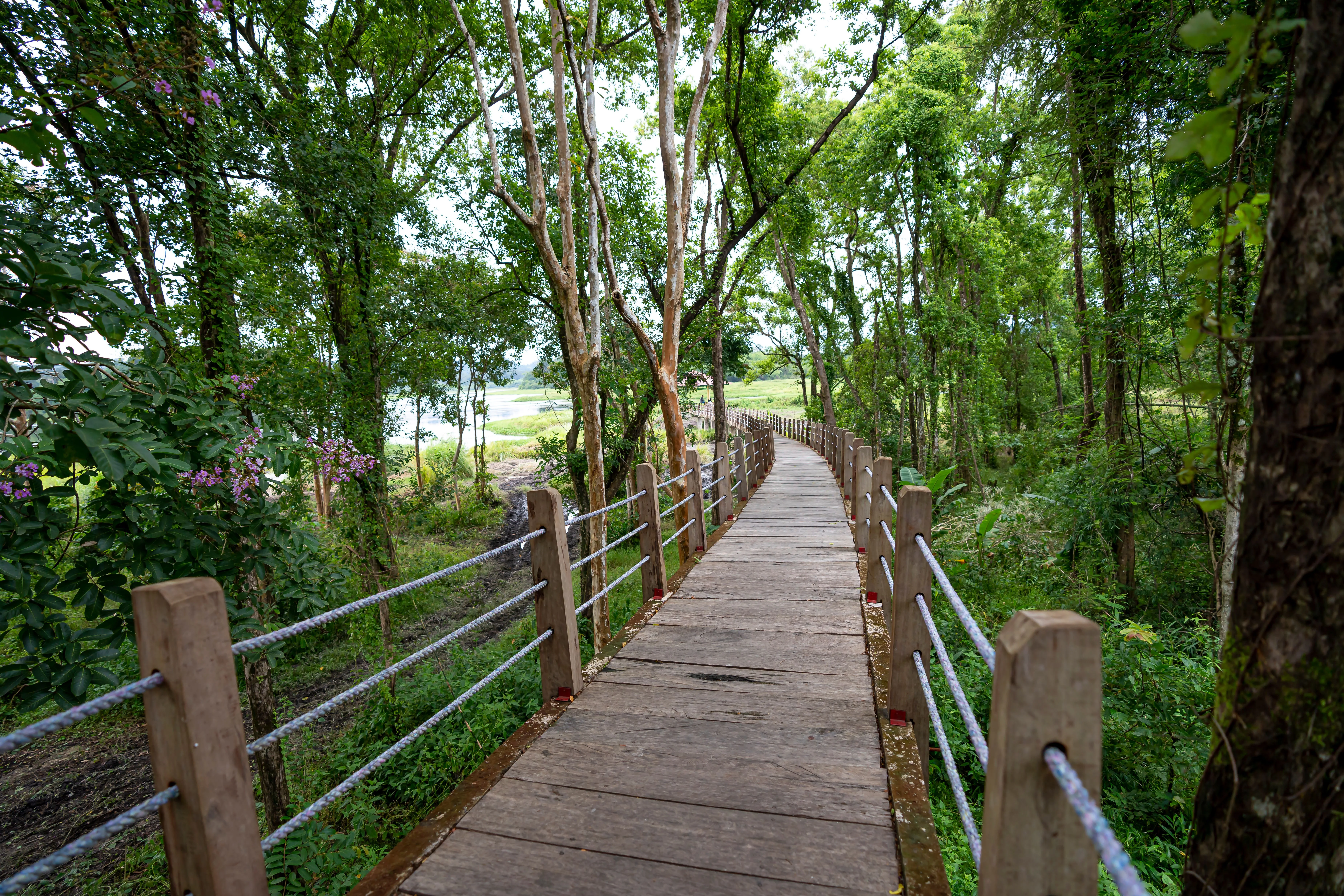 Greens & Outdoors at PURAVANKARA PURVA SILVERSKY, Hebbagodi, Electronic City, Bengaluru