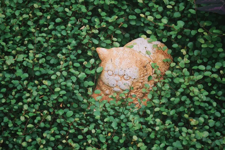 Greens & Outdoors at PURAVANKARA CODENAME ARBOR (PURVA ARBOR), Nellukunte, Bangalore
