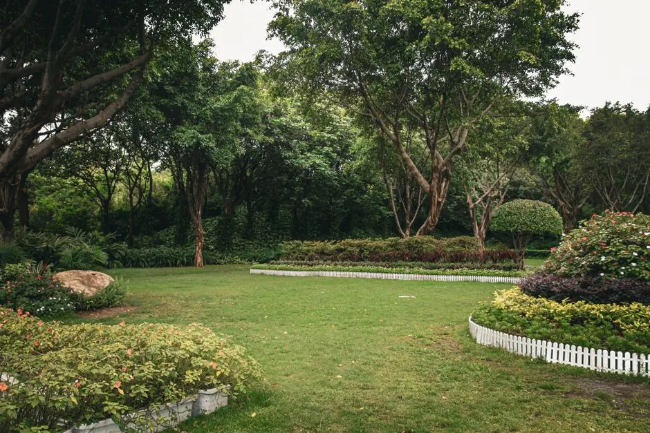 Greens & Outdoors at PURAVANKARA PURVA SYMPHONY AT SOUND OF WATER, Bannerghatta, Bangalore