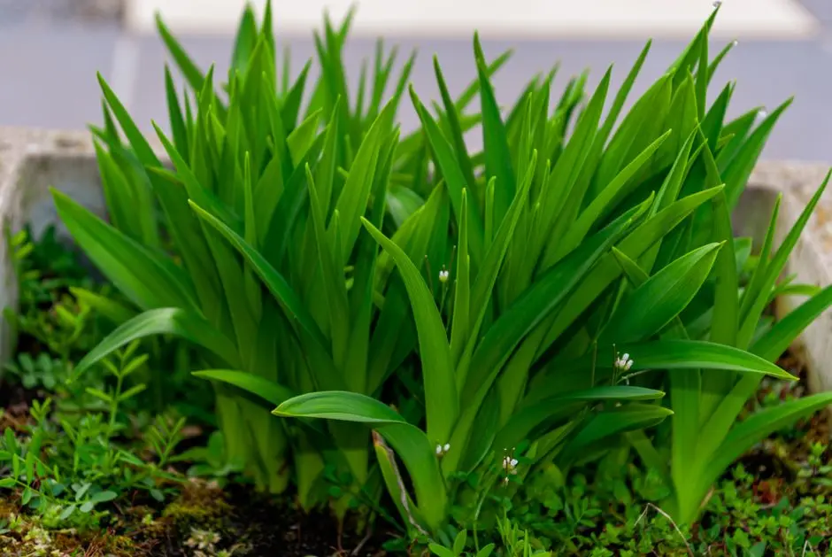 Greens & Outdoors at PURAVANKARA PURVA KENSHO HILLS, S. Medihalli, Bangalore