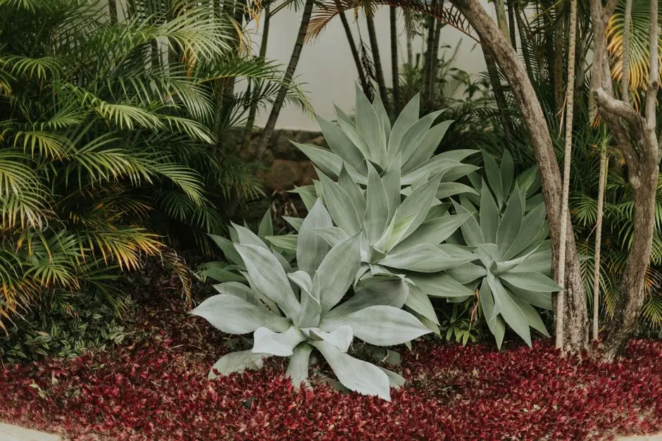Greens & Outdoors at PURAVANKARA GARDEN CITY, Battarahalli, Bangalore