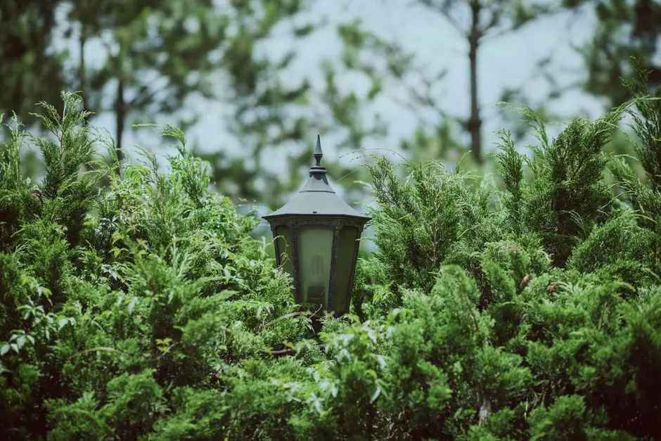 Greens & Outdoors at PURAVANKARA PURVALAND PLOTS PANVEL, Mumbai