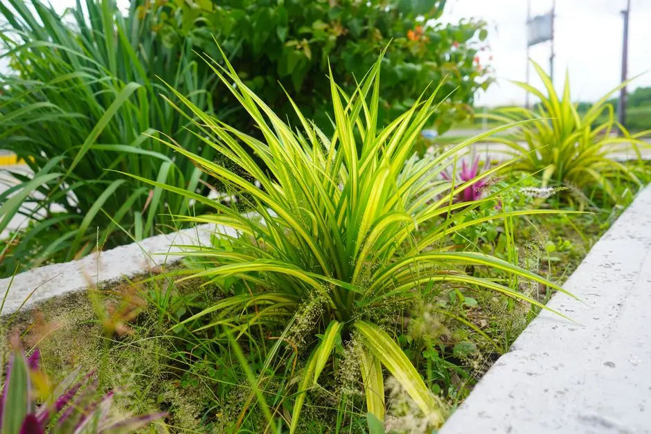 Greens & Outdoors at PURAVANKARA PURVA PANATHUR ROAD, Bangalore