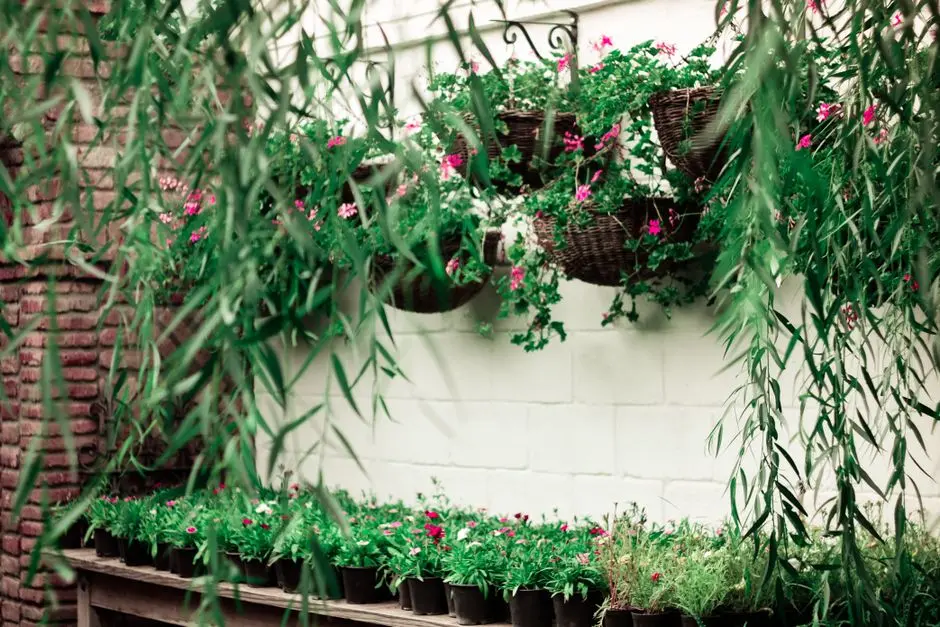 Greens & Outdoors at PURAVANKARA PROVIDENT MANCHESTER, Devanahalli, Bangalore