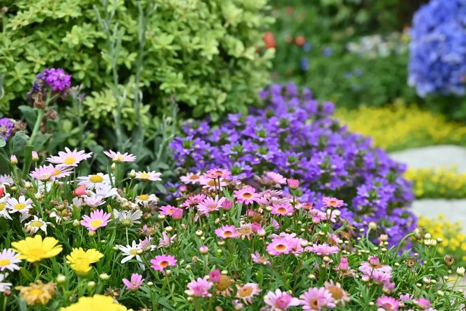Greens & Outdoors at PURAVANKARA PLOTS VADERAHALLI, Bangalore