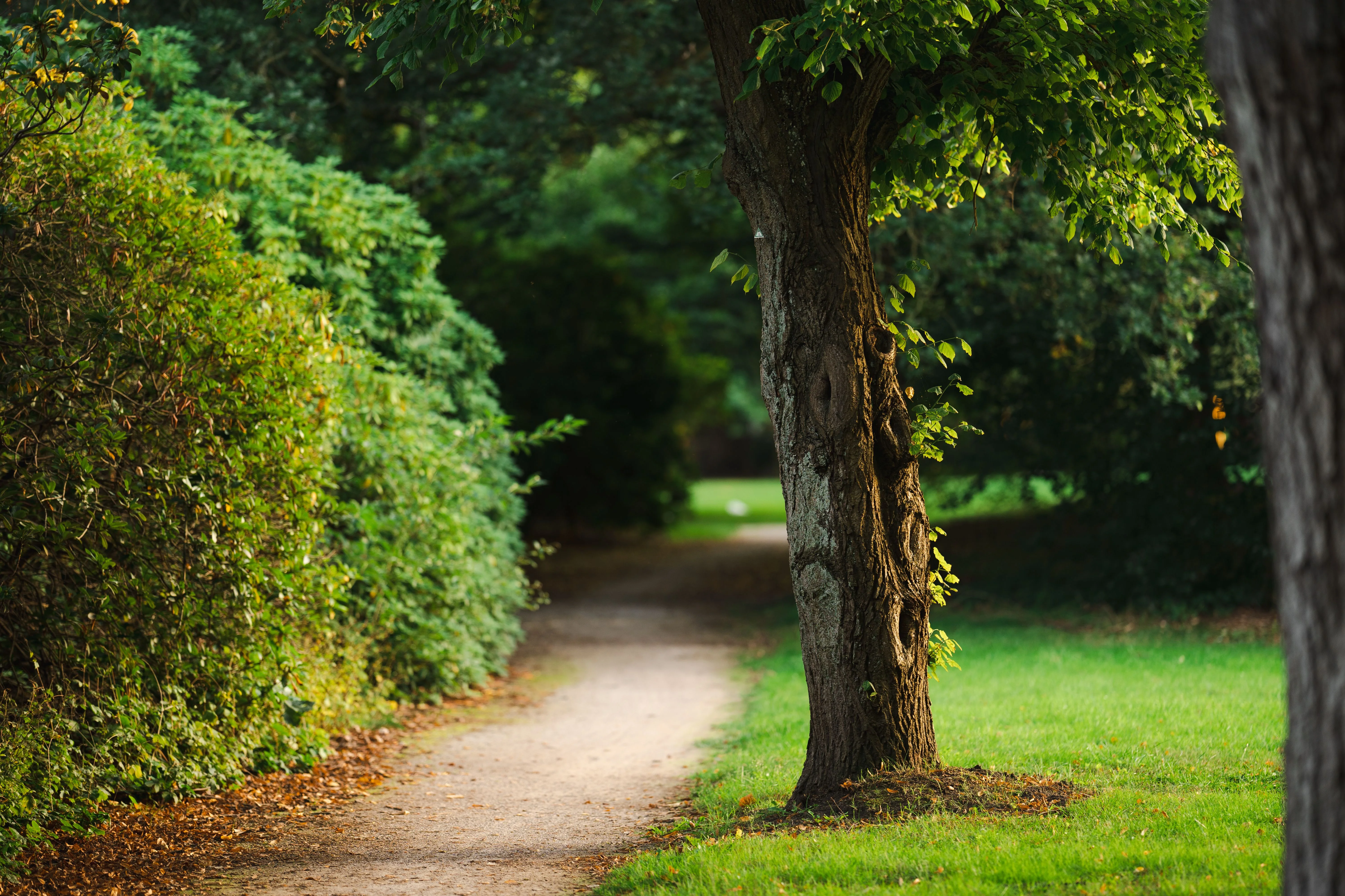 Greens & Outdoors at PURAVANKARA PURVA ESPLANADE, Hardware Park, Bagalur, Bangalore