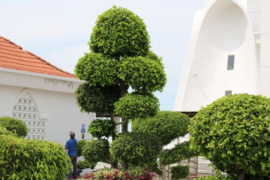 Greens & Outdoors at PURAVANKARA PURVALAND PLOTS RAMPURA, Bangalore