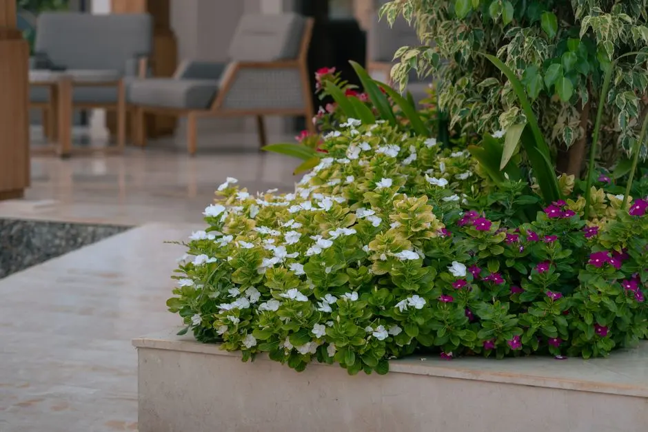 Greens & Outdoors at PURAVANKARA HEBBAL COMMERCIAL PROJECT, Bangalore