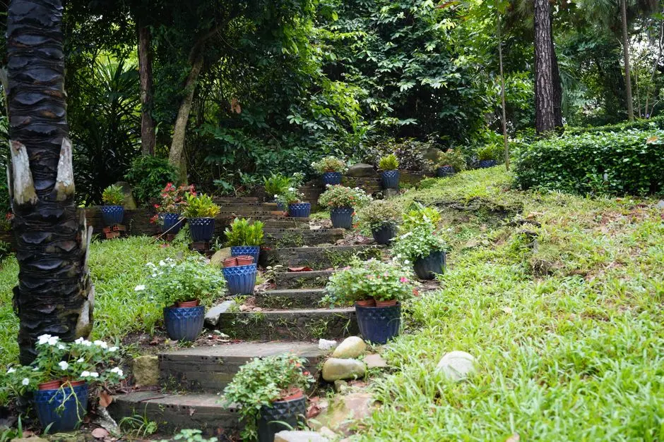 Greens & Outdoors at PURAVANKARA PURVA PARK ROYALE, Judicial Layout, Bangalore