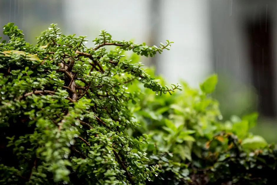 Greens & Outdoors at PURAVANKARA PROVIDENT BAYSCAPE, Kelambakkam, Chennai